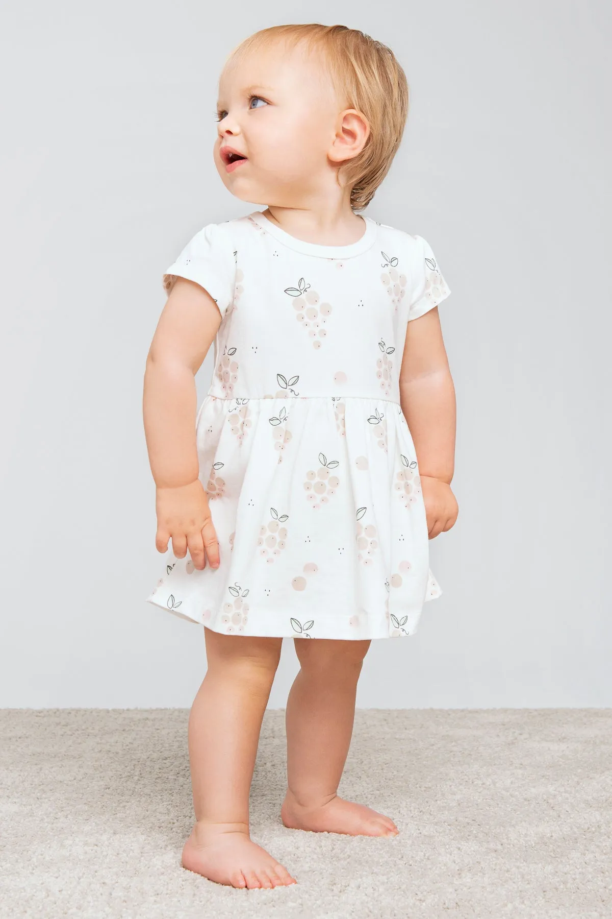 Petit Lem La Vie En Rose Peplum Baby Girls Dress